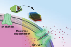 nano-size magnetic discs offer remote brain stimulation